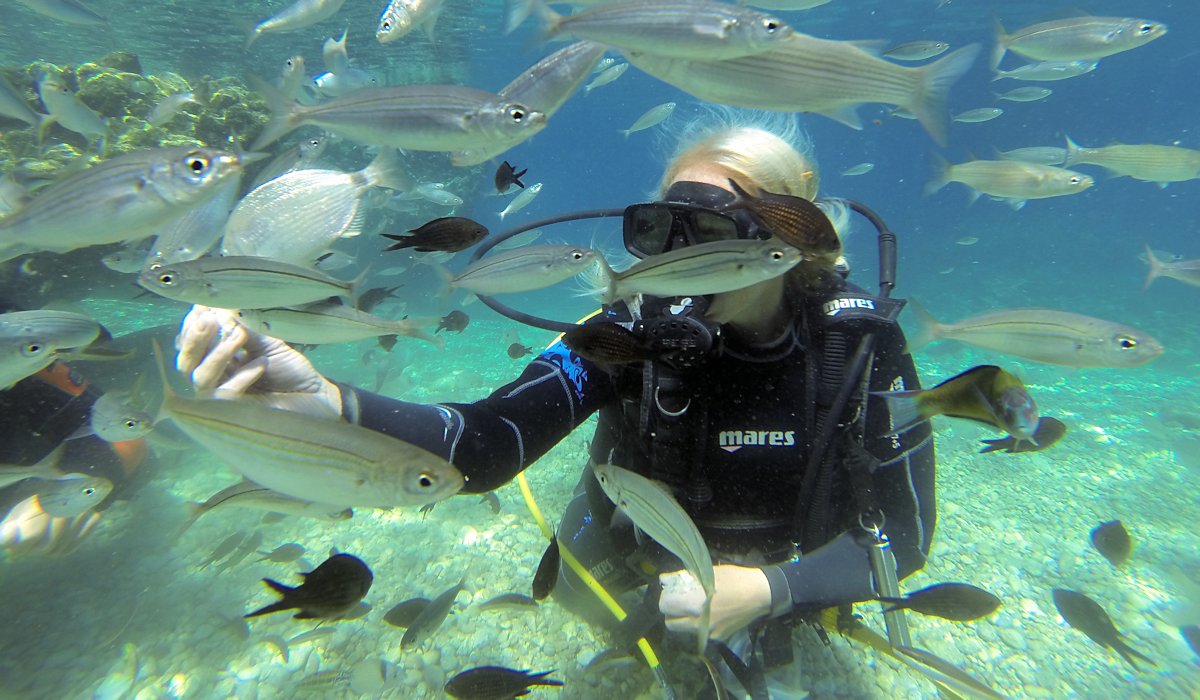 Marmaris Scuba Diving - 2