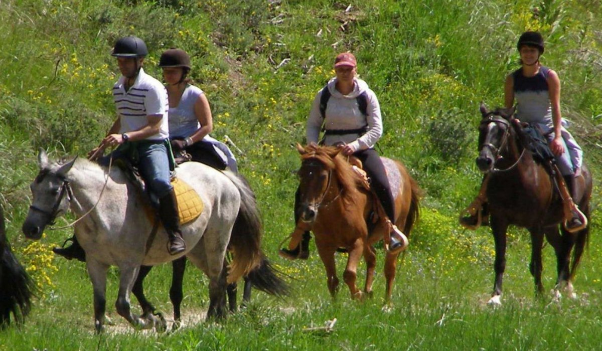 Kusadasi At Safarisi - 3