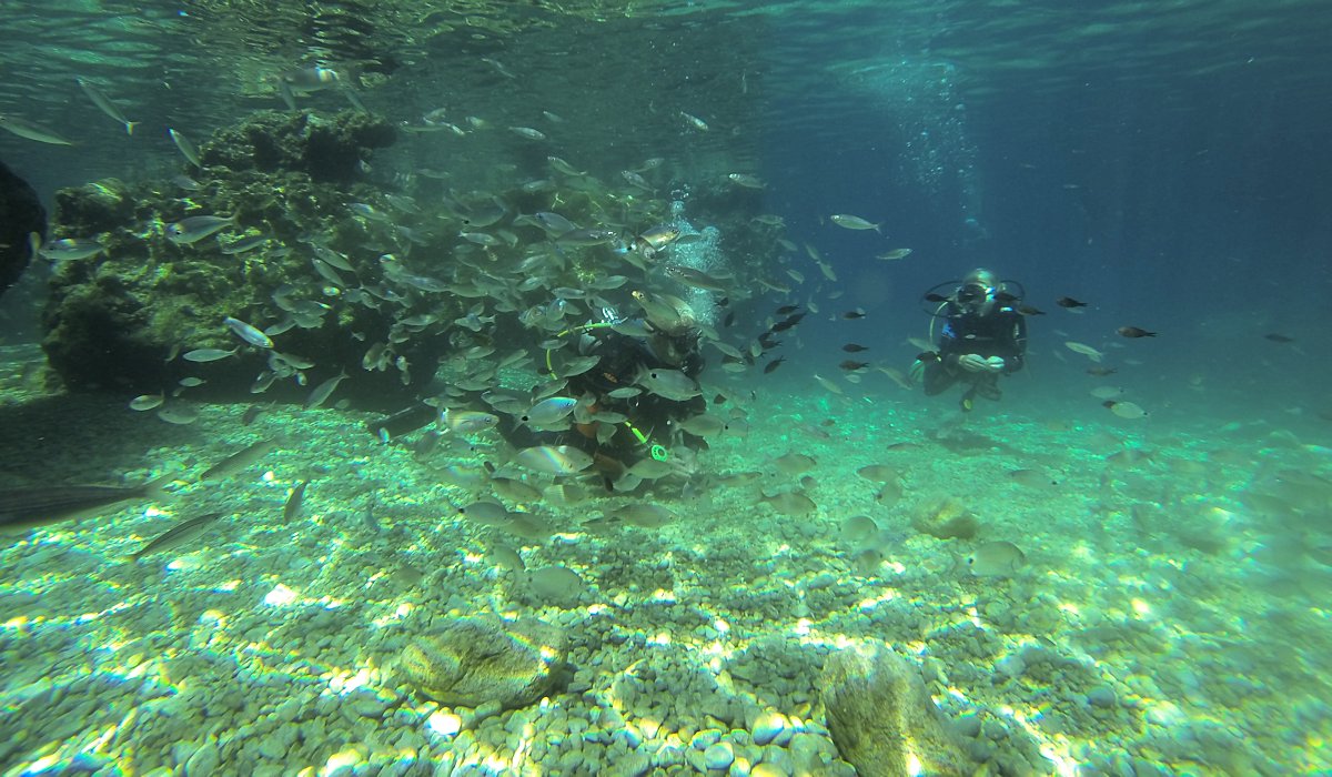 Kemer Tüplü Dalış - 4